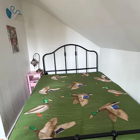 Villa Riverside Landhaus-villa Und Xxl Garten Bis 24 Personen Mittelhof