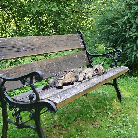 Riverside Landhaus-villa Und Xxl Garten Bis 24 Personen